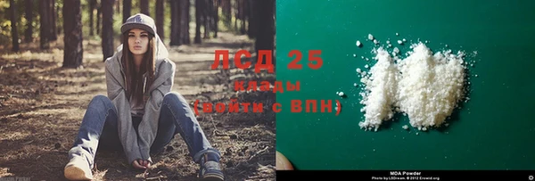 ГАЛЛЮЦИНОГЕННЫЕ ГРИБЫ Абаза