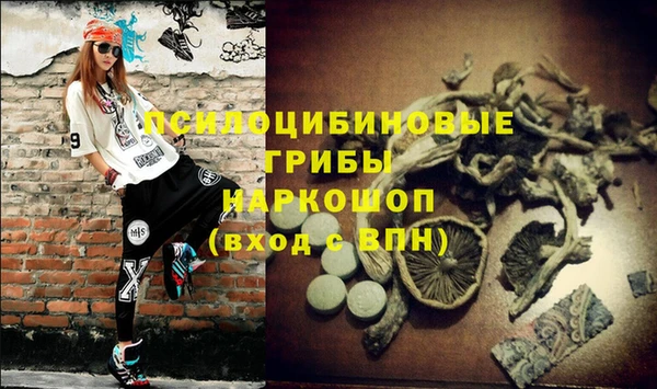 кокаин колумбия Алексин