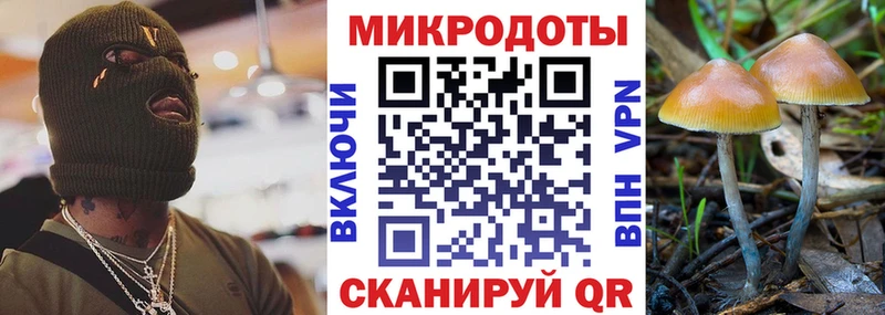 купить закладку  Кандалакша  Псилоцибиновые грибы ЛСД 